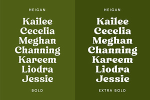 Heigan - Retro Font Family