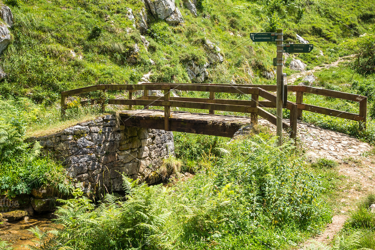 Wood bridge in Picos de Europa, Asturias, Spain, a Nature Photo by GoodGoods (Photo 1 of 2)