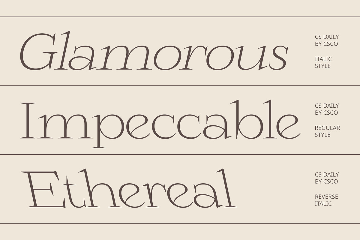 CS Daily – Serif Font, a Serif Font by Craft Supply Co. (Photo 5 of 8)