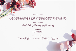 Medalion Calligraphy Font