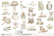 85 forest animal clip art, an Animal Illustration by Poppy Lane Studio (Thumbnail 4 of 10)