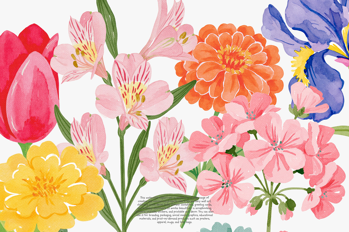 Flower Clipart Huge Bundle, a Decorative Illustration by Patishop Art (Photo 6 of 11)