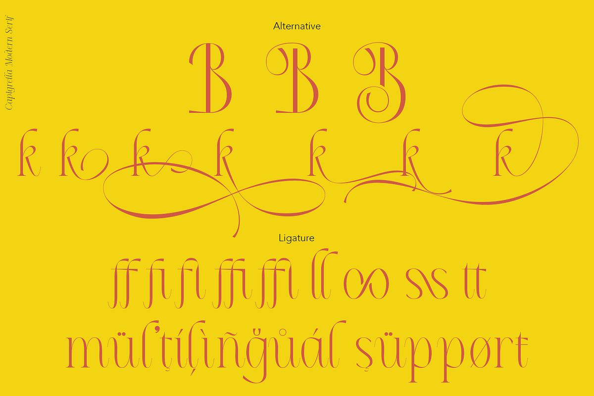 Capigrella Font, a Serif Font by TypeClassHeroes (Photo 9 of 15)