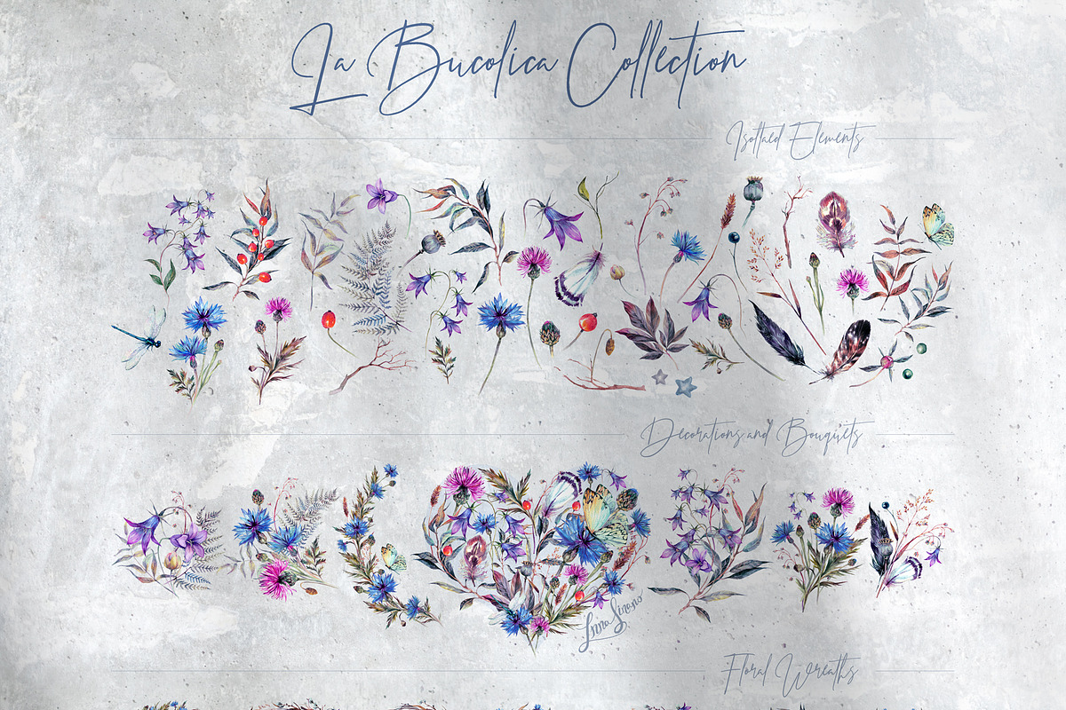 La Bucolica | Meadow Wildflowers Set, an Illustration by Inna Sinano (Photo 8 of 9)