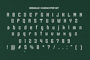 Sengklec - Display Family Font, a Serif Font by Differentialtype (Thumbnail 9 of 12)