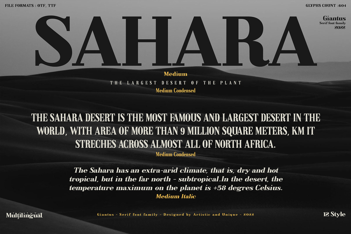 Giantus - Serif font family, a Serif Font by Artistic & Unique (Photo 7 of 13)