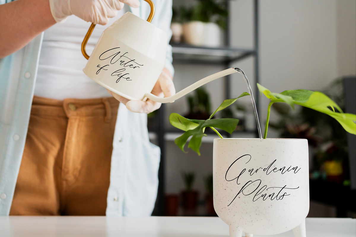 Rilenheart Scottibela Calligraphy, a Script Font by Storytype Studio (Photo 10 of 15)