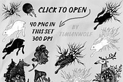 Night in the woods 40 PNG Timianwolf, an Animal Illustration by timianwolf (Thumbnail 5 of 10)