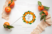 Watercolor Mandarin Fruits Vol. 2, a Food Illustration by Olga Begak Art & Design (Thumbnail 6 of 8)