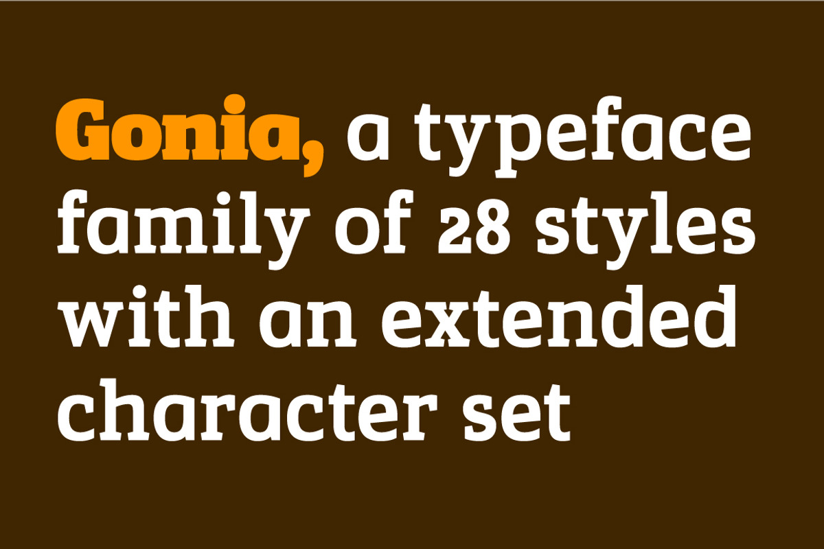 Gonia, a Slab Serif Font by Typogama (Photo 2 of 15)