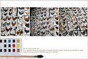 Watercolor Chicken Breeds Clipart, an Animal Illustration by FineArt (Thumbnail 11 of 11)