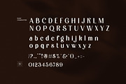 Duck Modern Sans Serif Font, a Serif Font by Perfectype (Thumbnail 7 of 8)