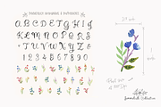 Sommerlich Expanded Collection, an Illustration by KLUGE+CO (Thumbnail 5 of 11)