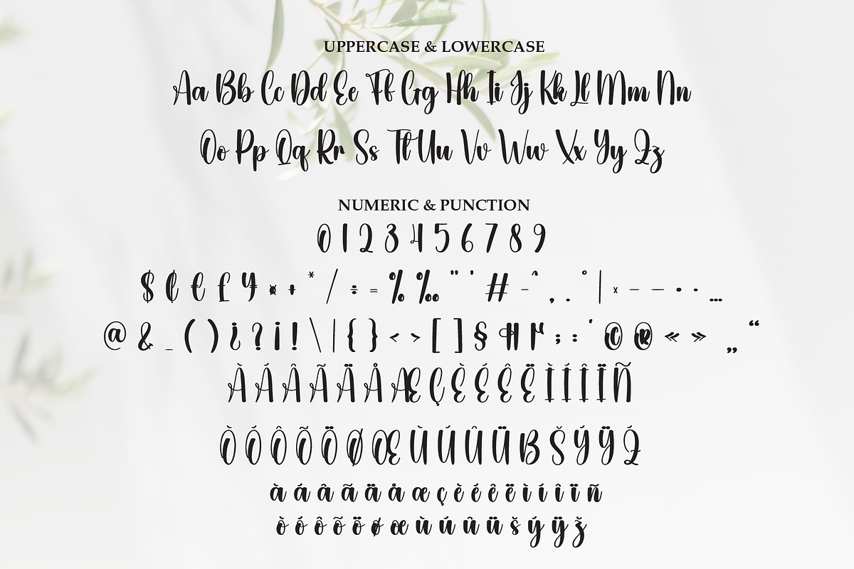 Anything | Script Font, a Handwritten Font by Scratchones (Photo 7 of 9)