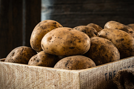 Potatoes harvest, a Food & Drink Photo by The baking man