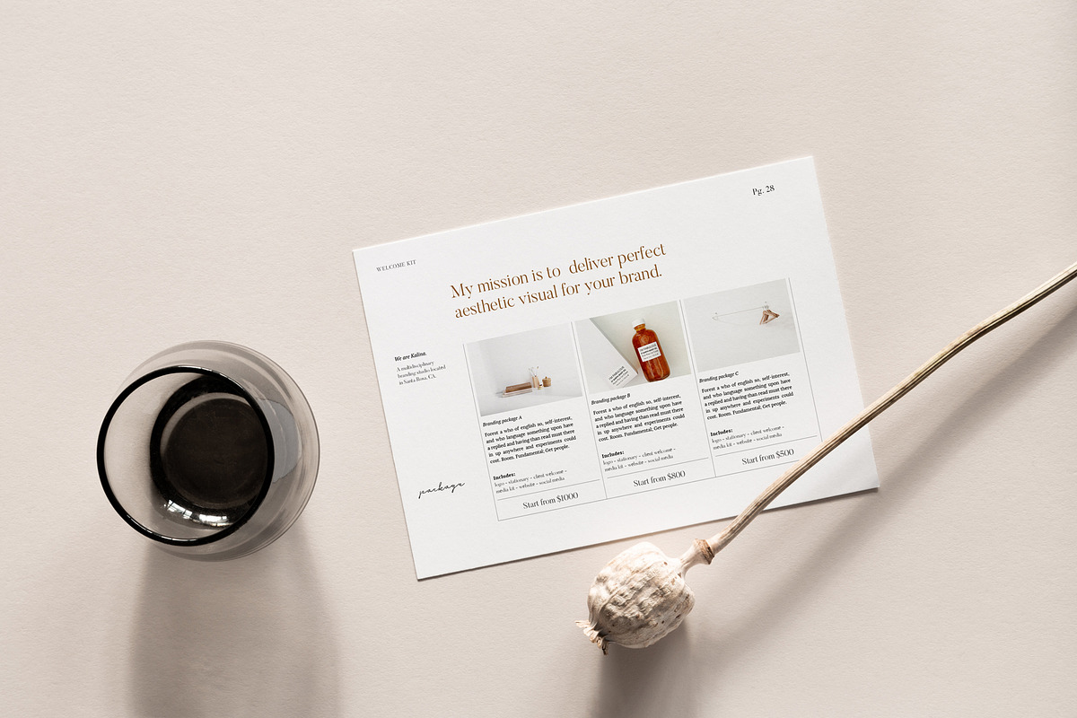 KALINA - Client Welcome Template, a Presentation Template by Elokka Std. (Photo 3 of 10)