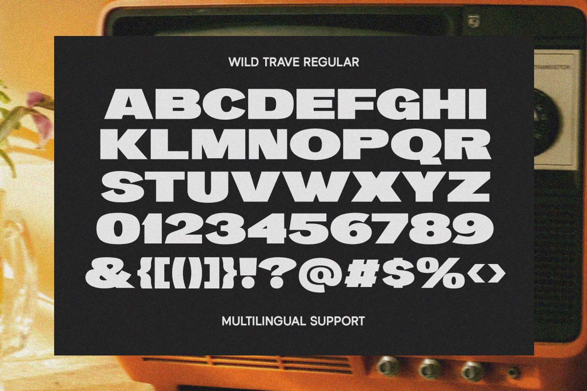 Wild Trave Nostalgic Bold Sans, a Sans Serif Font by Letterhend Studio (Photo 5 of 12)