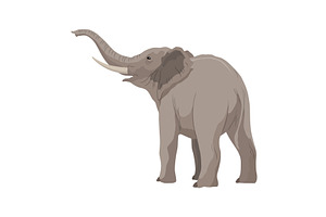 Flat vector elephant in poses, an Animal Illustration by the8monkey