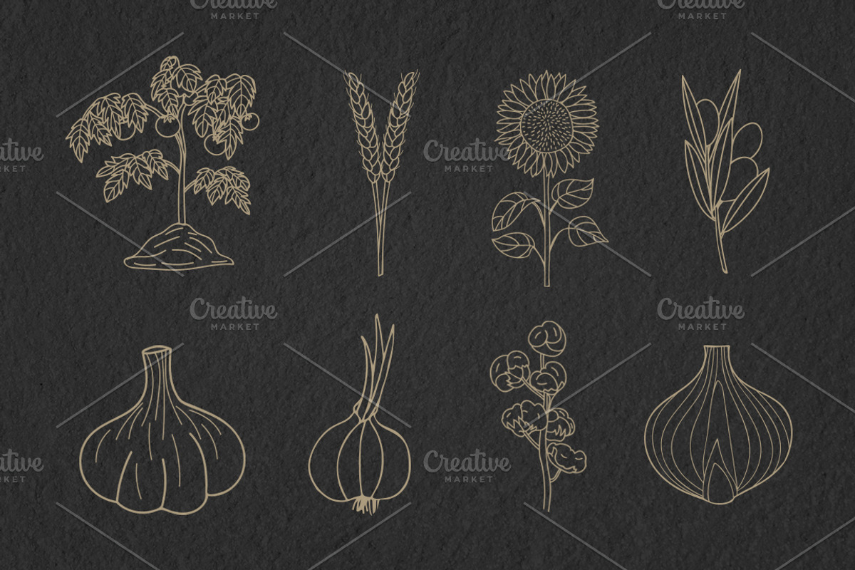 Vegetables doodle icons set, an Outline Icon by Gulnarart (Photo 6 of 7)
