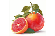 Prompt Watercolor Oranges Clipart, a Decorative Illustration by Creative design (Thumbnail 2 of 7)