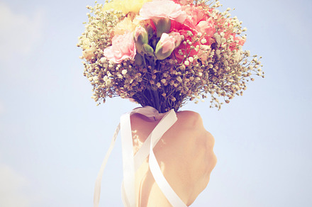 Red rose containing rose, red, and flower preview 6