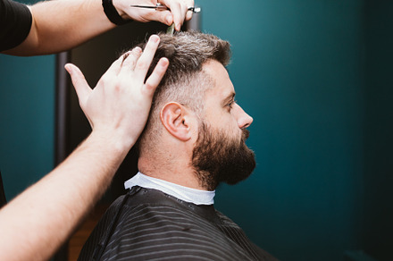 Close-up man in barbershop, hairstylist doing haircut to bearded, a Person Photo by progressman