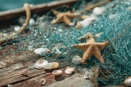 Fishing net with seashells on boat, a Holiday Photo by Virgo Studio