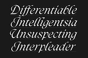 Darkslide - Elegant Display Serif, a Font by Swandtype (Thumbnail 2 of 9)