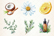 Watercolor Natural Remedies Clipart, an Illustration by Dream Creation (Thumbnail 2 of 5)
