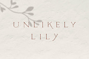 Unlikely Lily - A Hand-Drawn Serif, a Serif Font by Brackish Creative (Thumbnail 1 of 5)