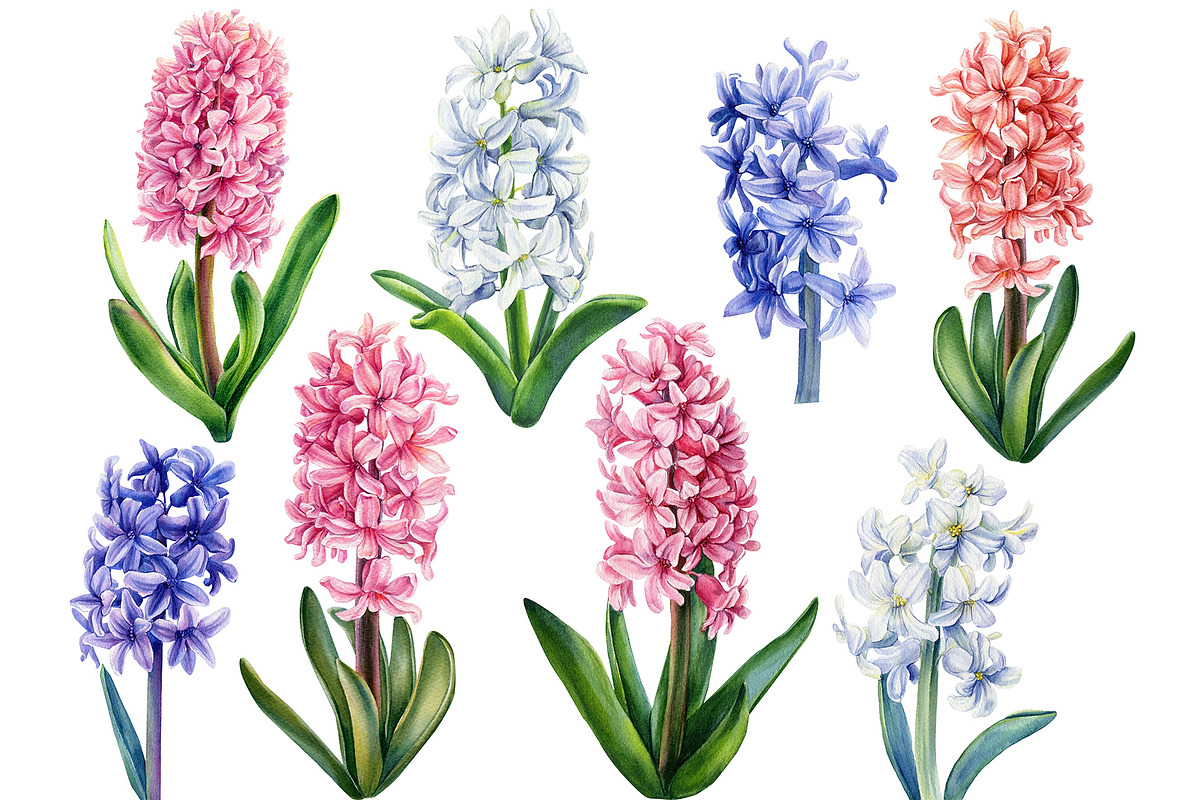 Floral painting spring bouquet, an Illustration by Hanna Hryharenka (Photo 7 of 14)