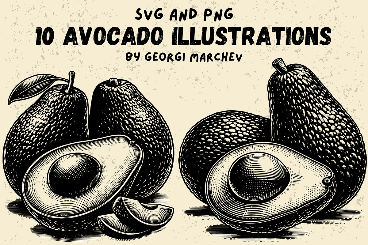 Avocado Illustrations Bundle SVG PNG, a Food Illustration by Ray Crimson