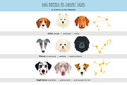 Zodiac signs and dog breeds clipart, an Animal Illustration by Art and Funny (Thumbnail 4 of 10)
