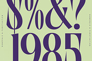 Wafterlic Modern Display Serif, a Serif Font by timelesstype.co (Thumbnail 6 of 20)