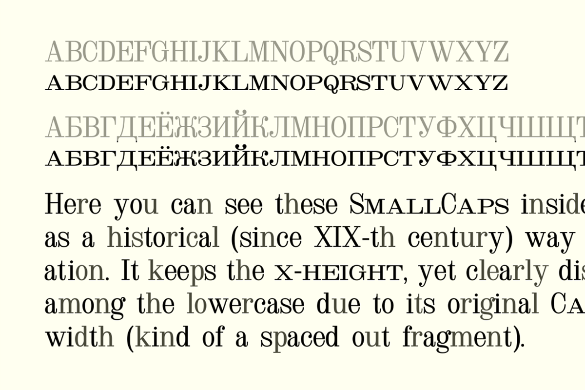 Dodo, a Serif Font by Indian Summer Studio (Photo 4 of 5)