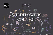 Wildflowers collage collection, a Texture Graphic by Anna Sokol (Thumbnail 21 of 21)