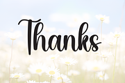 Dandelion | Script Font, a Handwritten Font by Scratchones (Thumbnail 9 of 9)