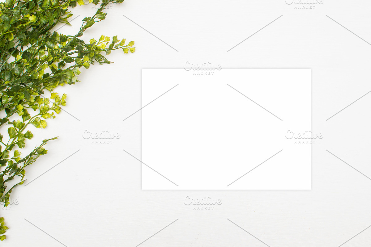 Mockup, Modern White Classy Mockups, a Photo by BlueBooks (Photo 2 of 2)