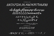 Gellatine Script Font, a Script Font by NTC Graphic (Thumbnail 5 of 6)