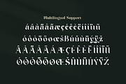 Braga Serif - Classic & Modern, a Serif Font by Lettertype Studio (Thumbnail 8 of 10)
