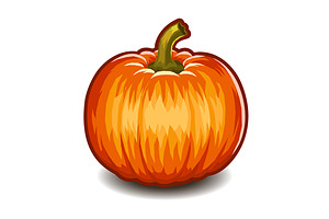 Pumpkin On White Background