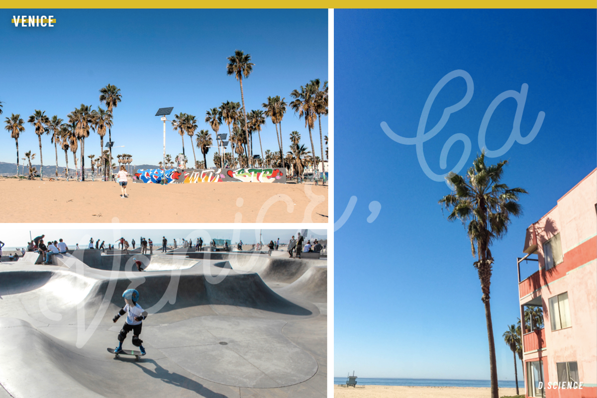 94% Off Venice Summer Photo Bundle, a Business Photo by Template Monkey @dscience (Photo 12 of 18)