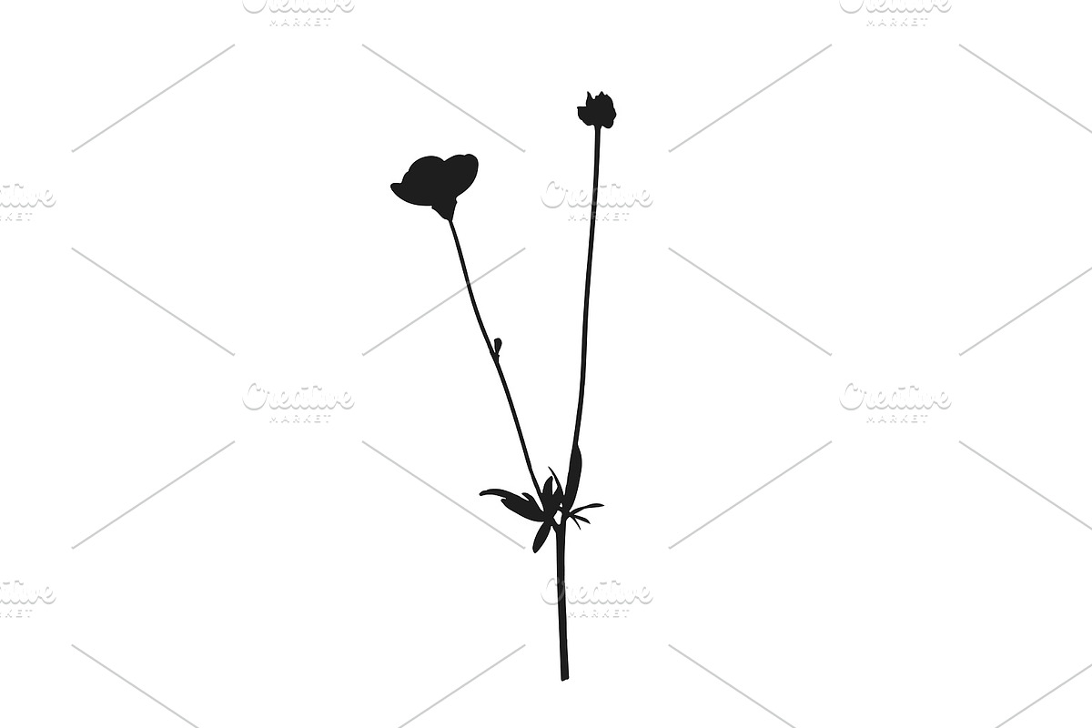 Botanical bundle - svg, png, a Decorative Illustration by Watercolor_Vector Graphic (Photo 11 of 26)