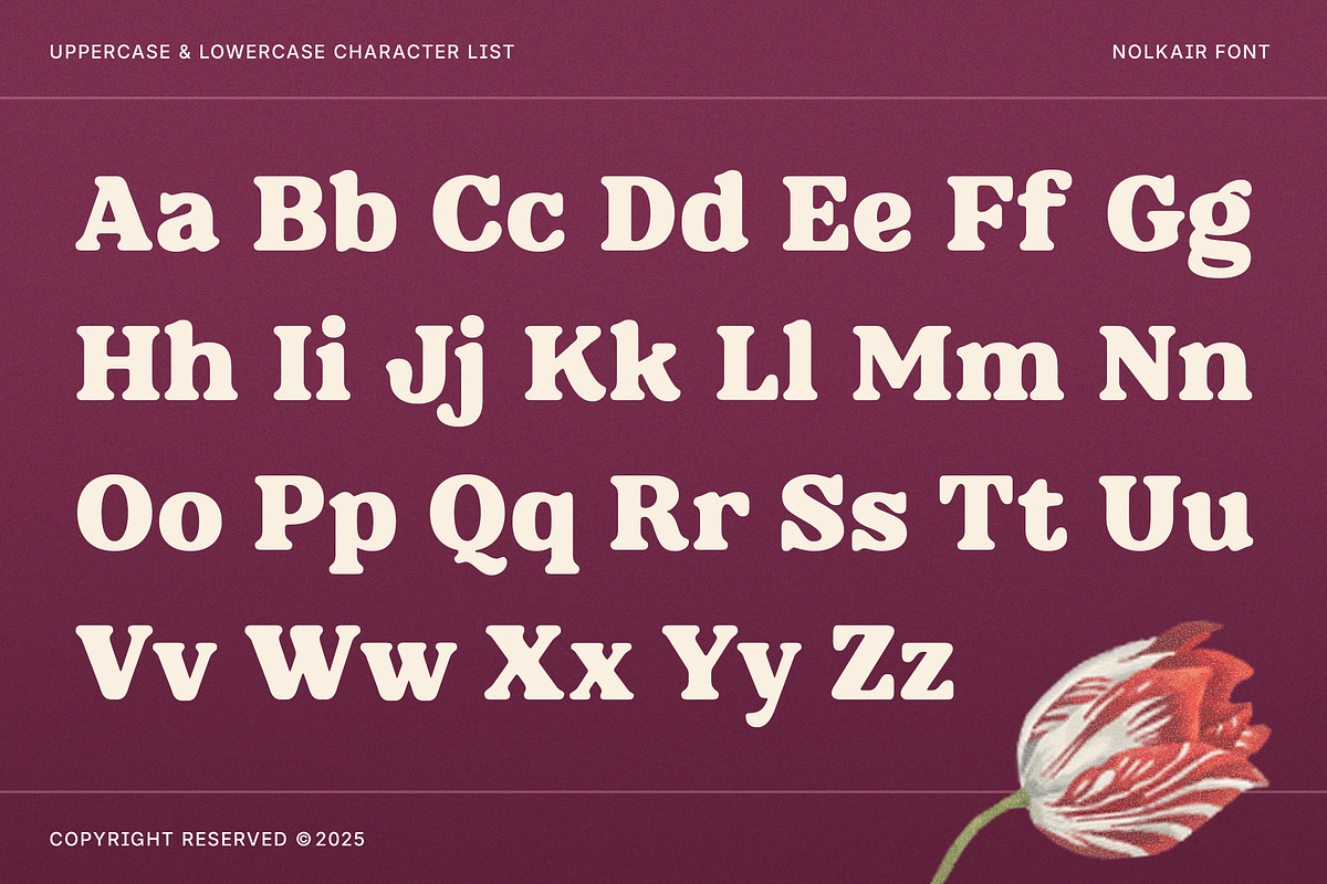 Nolkair - Bold Swashes Retro Serif, a Serif Font by Typia Nesia (Photo 2 of 15)
