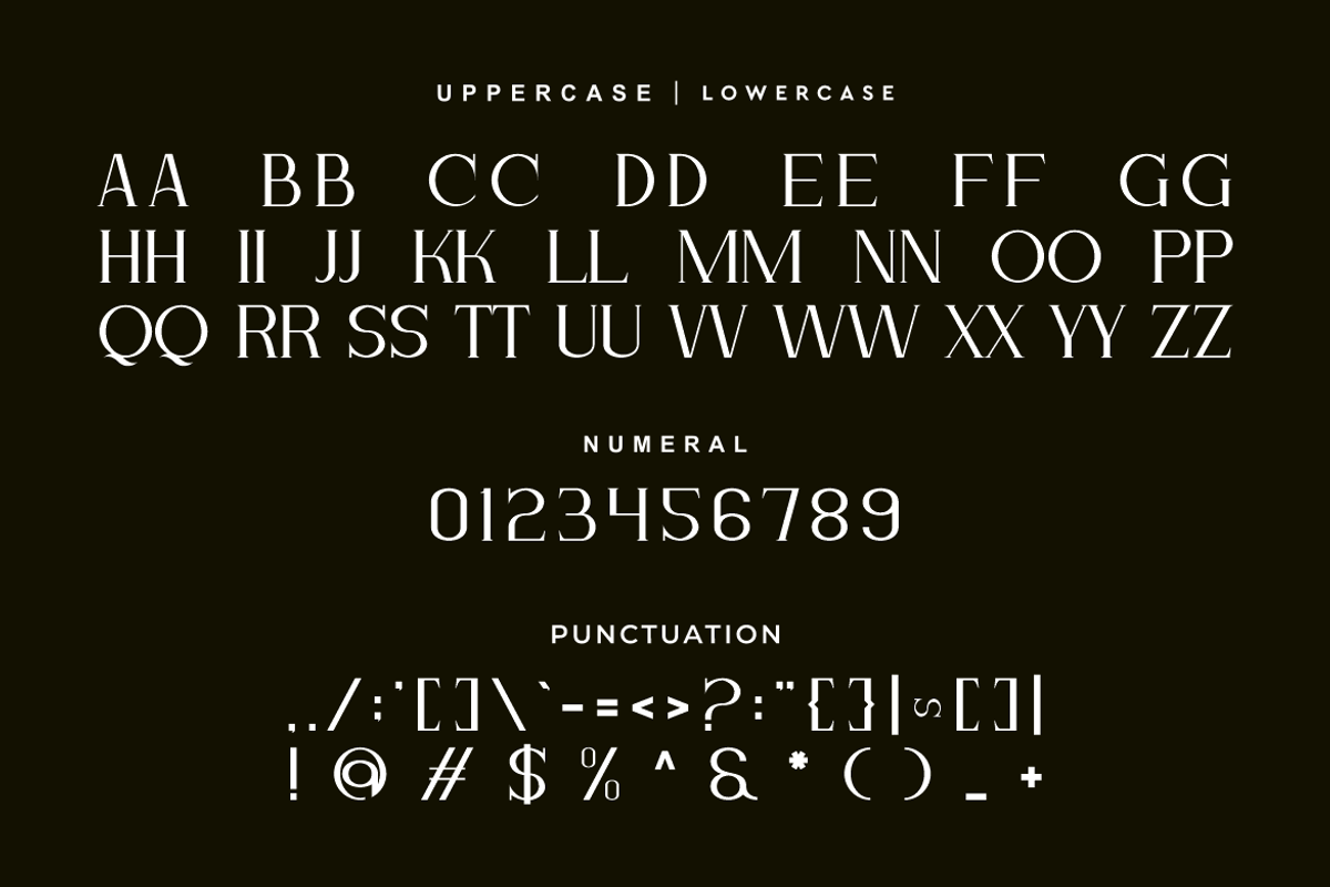 Mekchon - Aesthetic Serif Font, a Serif Font by Iqsiart Studio (Photo 6 of 8)