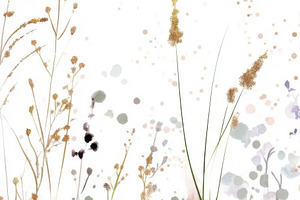 Delicate floral pattern with waterco, a Photo by Dvoevnore photos