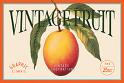 Vintage Graphic Elements_FRUITS, an Object Illustration by BOLD.Graphic (Thumbnail 1 of 8)