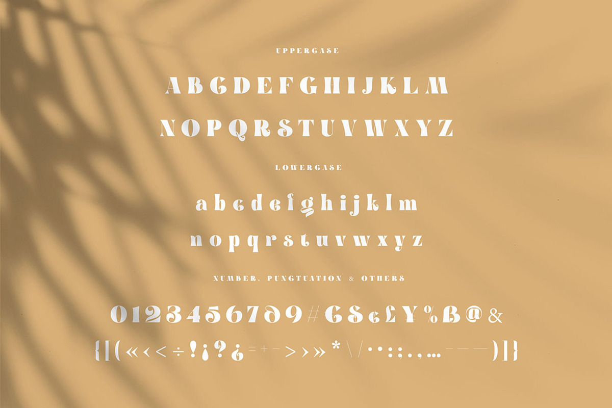 Trendy & Modern Fonts 2 - 10 Sets, a Font by Cruzine (Photo 19 of 42)