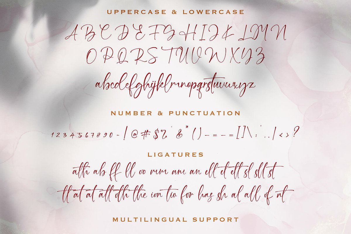 Bung Virgi - Signature Script Font, a Script Font by StringLabs (Photo 10 of 11)