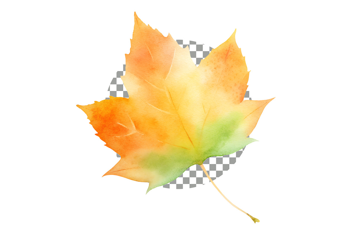 Watercolor Autumn Leaves Clipart, an Object Graphic by crafty (Photo 2 of 5)